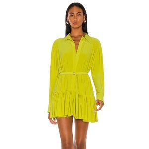 Oversized Boyfriend Norma Kamali Dress in Spring Green